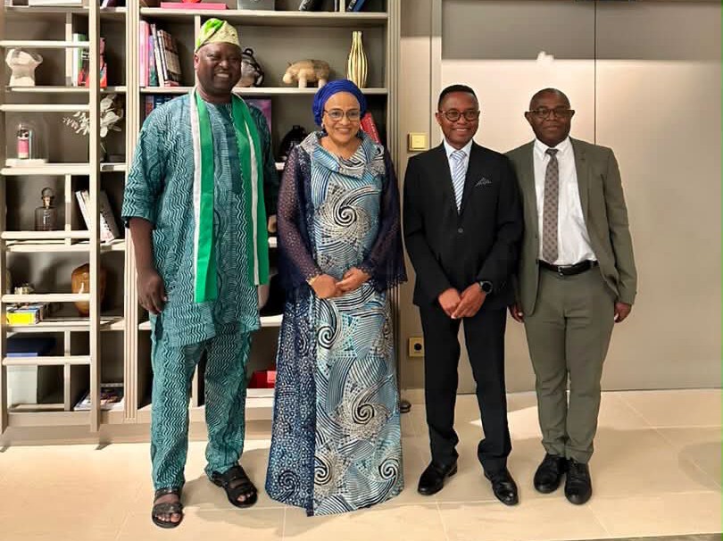 Excellency Ambassador Florence Ajumobi